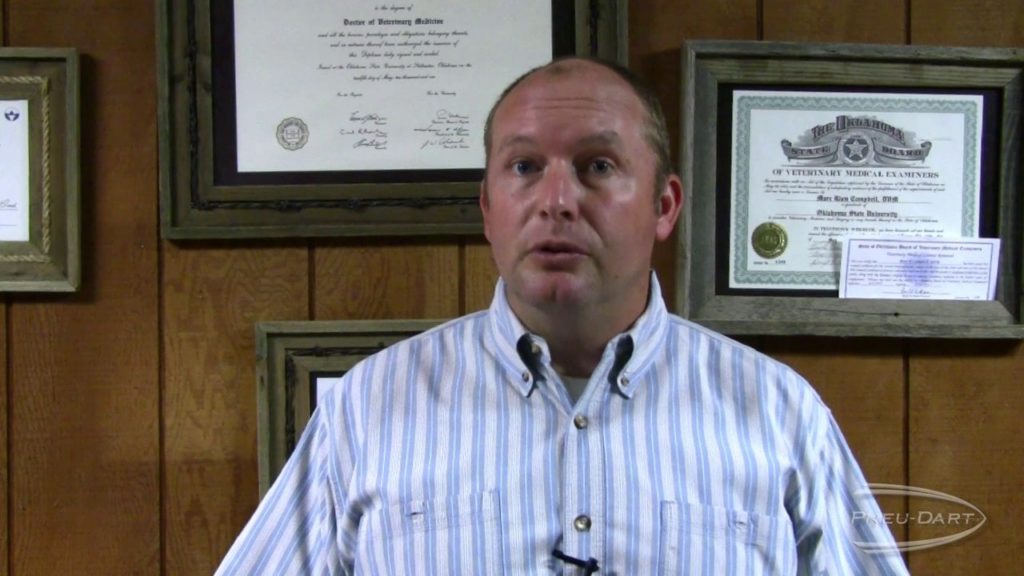 Dr. Mark Campbell Testimonial