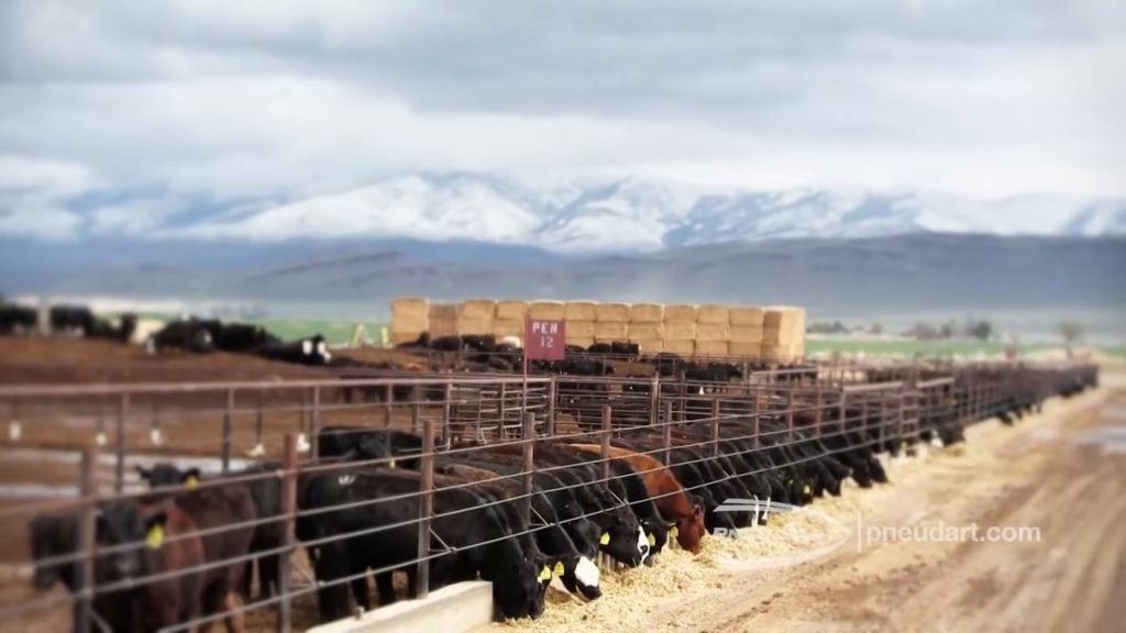 Rick Hawker Testimonial